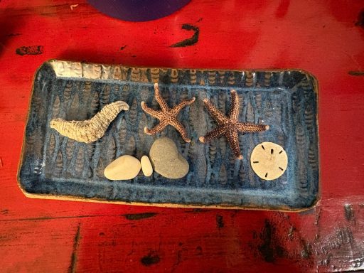 Textured dish with seashells
